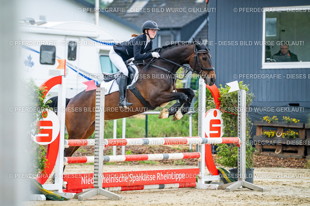 DSC02302 | Pferdegrafie