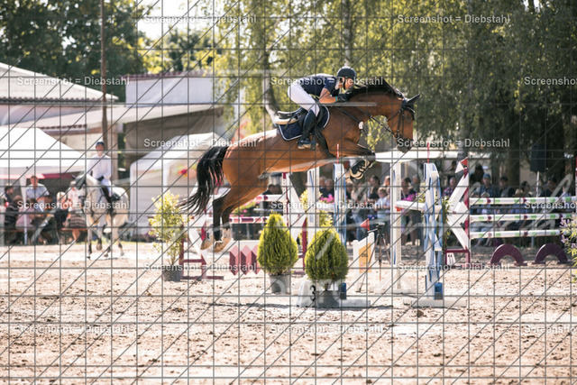 _W6A8041 | ronjaprokoschfotografie - Realisiert mit Pictrs.com