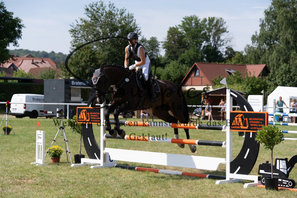 A7V01655 | Pferdefotograf