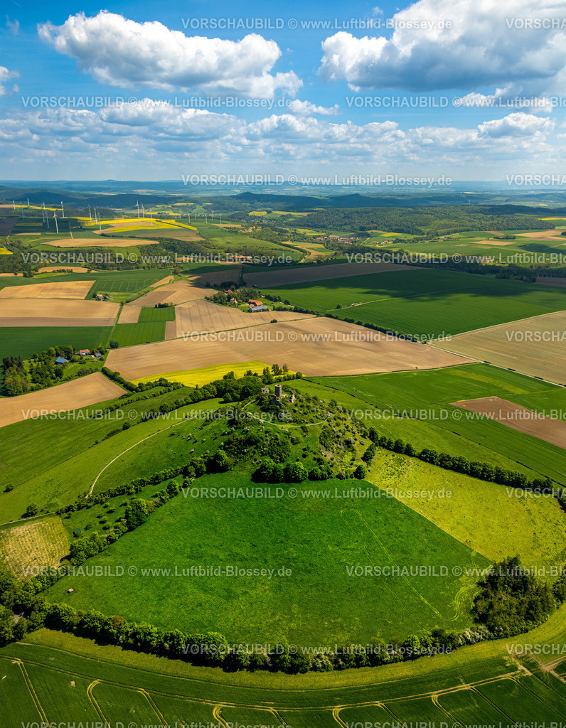 Warburg240505030BurgDesenberg | Luftbild, Burg Desenberg auf einem Vulkankegel, historische Sehenswürdigkeit, Ruine einer Höhenburg in der Warburger Börde, Baumallee im Halbkreis, Wiesen und Felder mit Fernsicht und blauem Himmel mit Wolken, Daseburg, Warburg, Ostwestfalen, Nordrhein-Westfalen, Deutschland