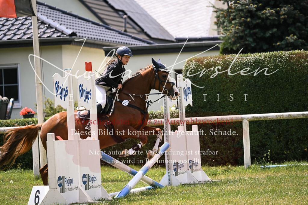 DSC_9224 | Pferde- und Turnierfotografie in Westsachsen. Pferdeportraits, Auftragszeichnungen und intuitive Kunst.