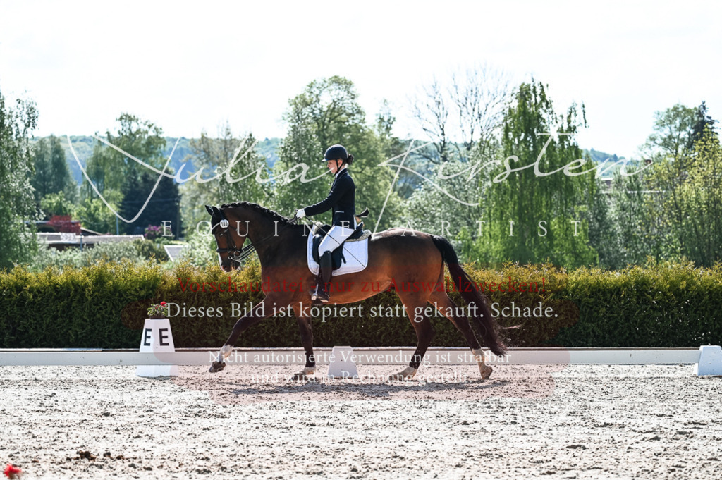 20230514_JK-Röhrsdorf-18-498 | Pferde- und Turnierfotografie in Westsachsen. Pferdeportraits, Auftragszeichnungen und intuitive Kunst.