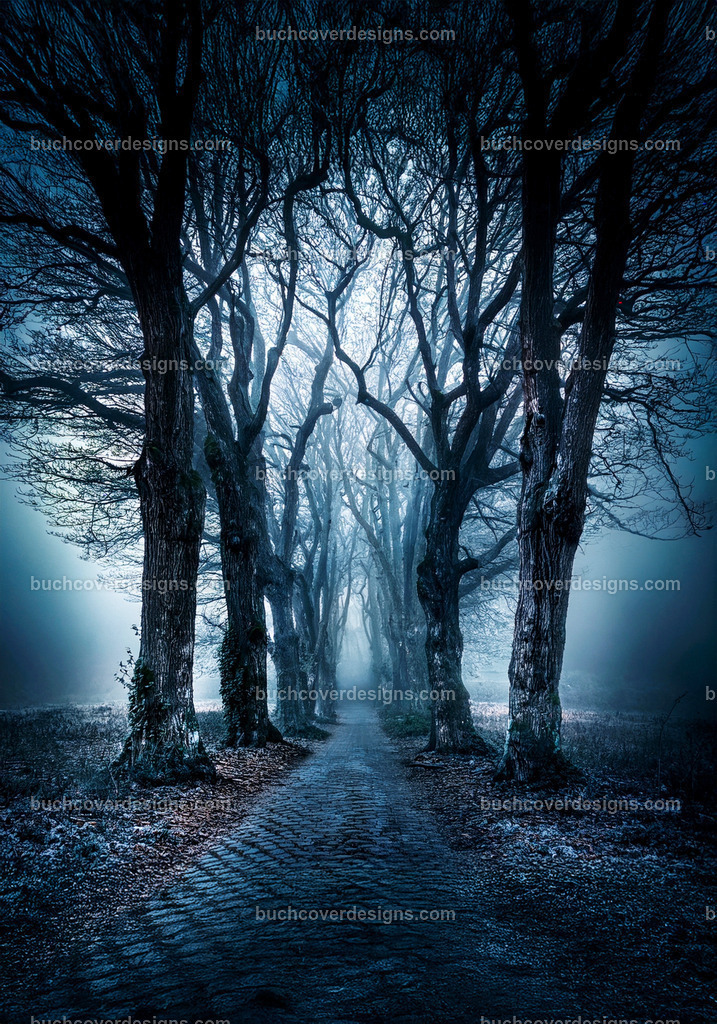 Baumen weg Corridor  (5) | Entdecken Sie kreative Buch Cover Designs für Self-Publishing-Autoren und Verlage! Unsere maßgeschneiderten Designs ziehen Leser an und bringen Ihre Geschichten visuell zum Leben. Lassen Sie uns Ihr perfektes Cover gestalten!