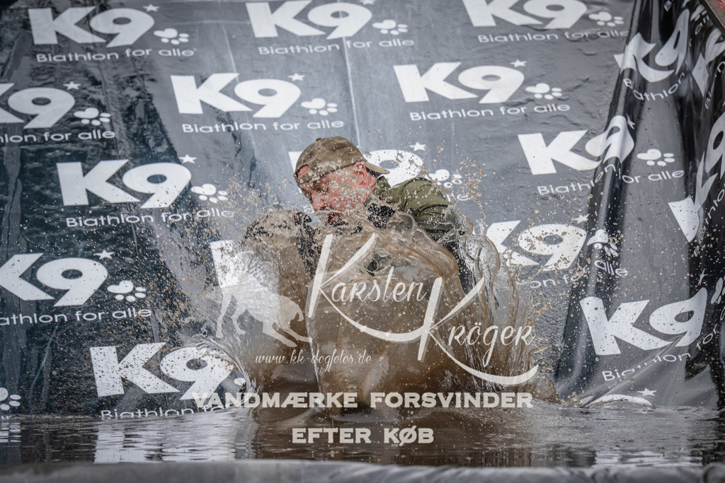 1116_ZZ92437 | kk-dogfotos