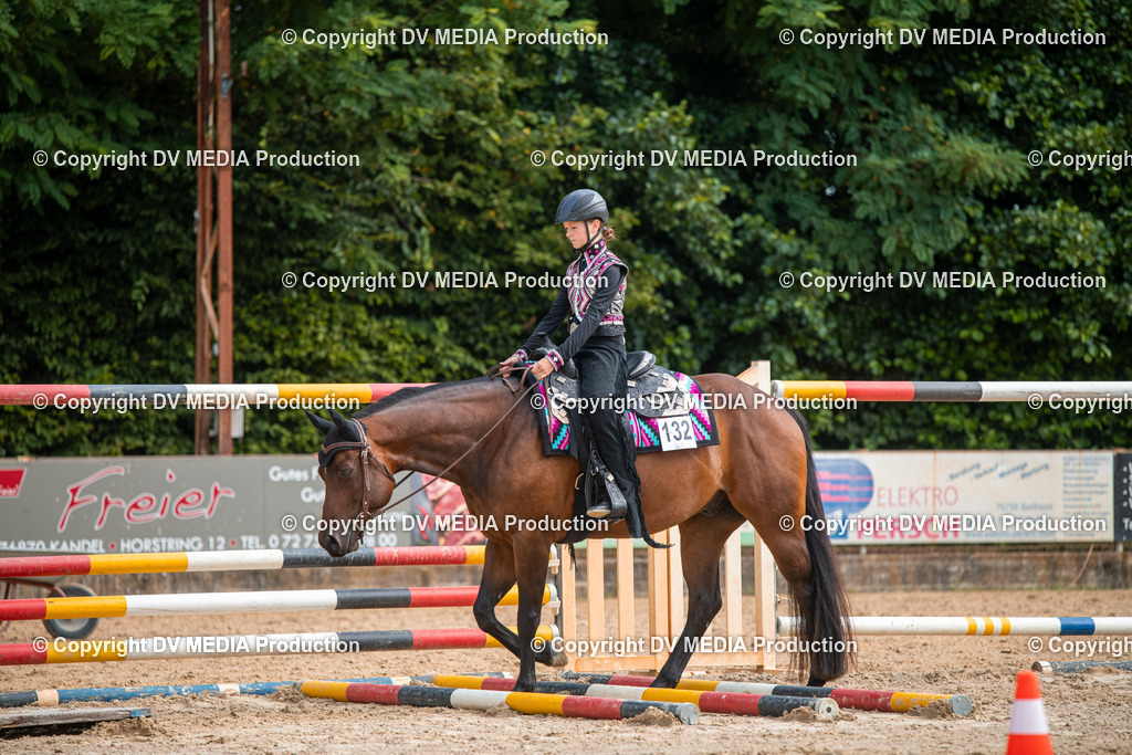 ZS2_7550 | dv-media-shop - Realisiert mit Pictrs.com