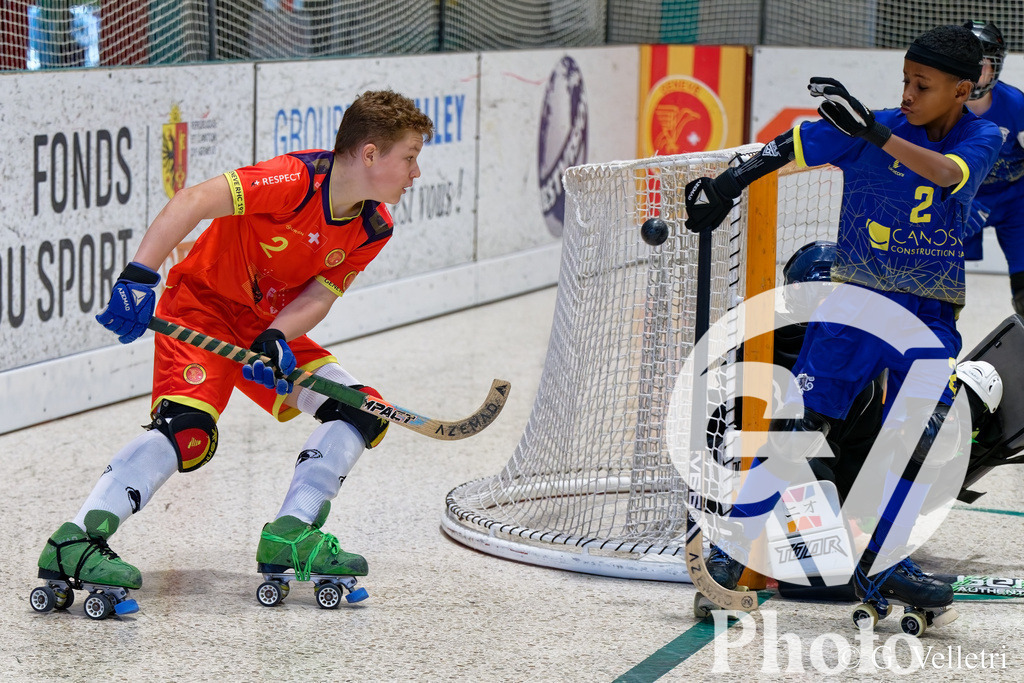 DZ8_3820 | Velletri Photo