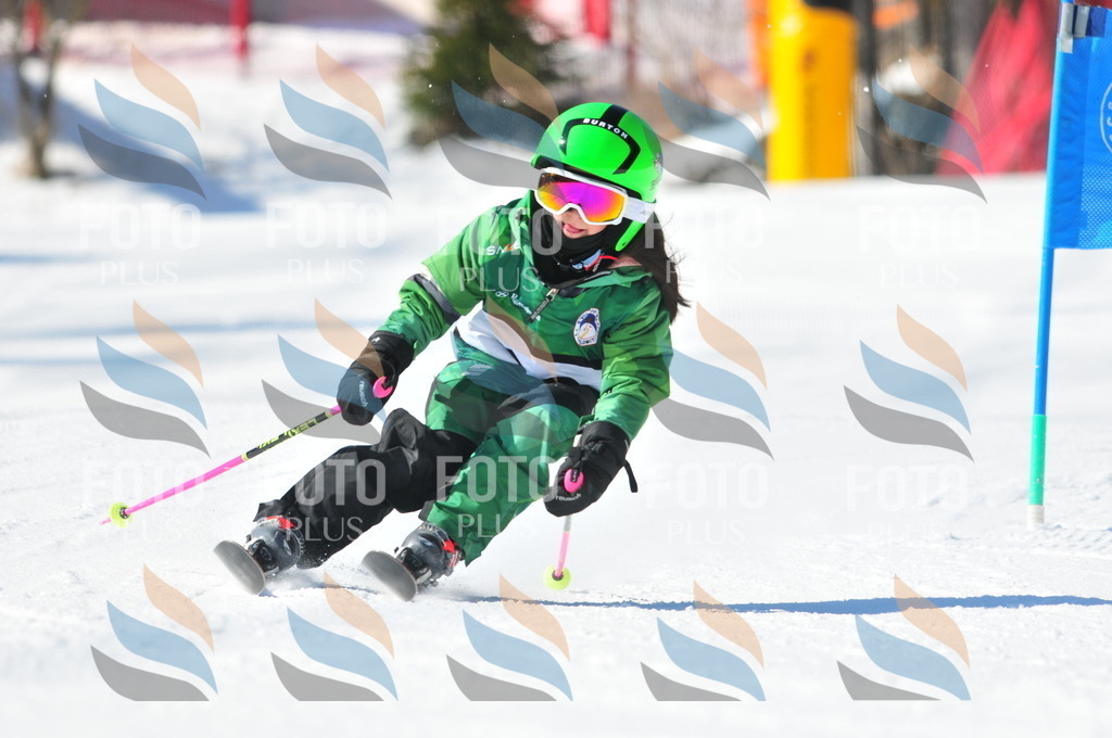 C2761 | holidayphoto