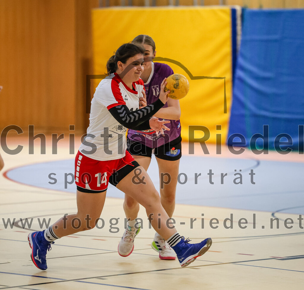 2024-10-13_025_SpVgg_Altenerding_gegen_SC_Freising | Erding, Deutschland, 13.10.2024:Handball, Bezirksoberliga Frauen Altbayern 2024 / 2024, 3. Spieltag, SpVgg Altenerding gegen SC Freising, Endergebnis: 26:35Antonia Koch (HSG Freising-Neufahrn, #14), Greta Felbinger (SpVgg Altenerding, #4)Foto: Christian Riedel / fotografie-riedel.net