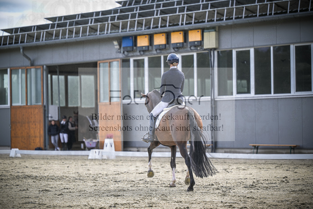 DOS_2355 | Entdecke hochwertige Reitturnierfotos von Foto Oger. Professionell, emotional und authentisch – jetzt Lieblingsmomente im Shop bestellen.Deutschlandweite Turnierfotografie. - Realisiert mit Pictrs.com