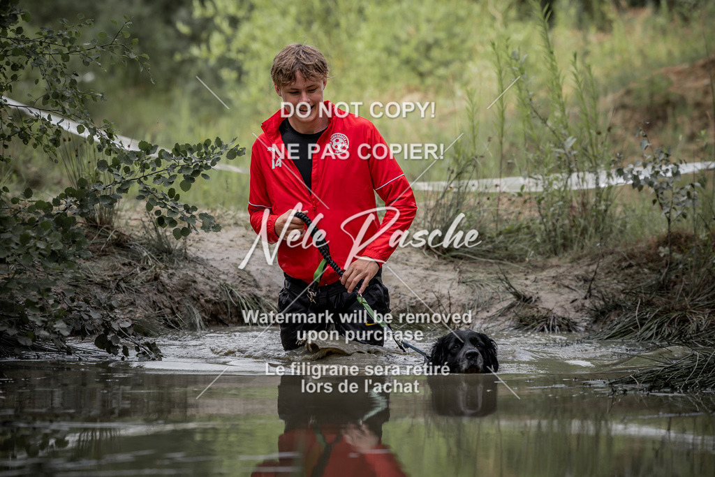 nelerasche_so0800-0930_02 | nelerasche