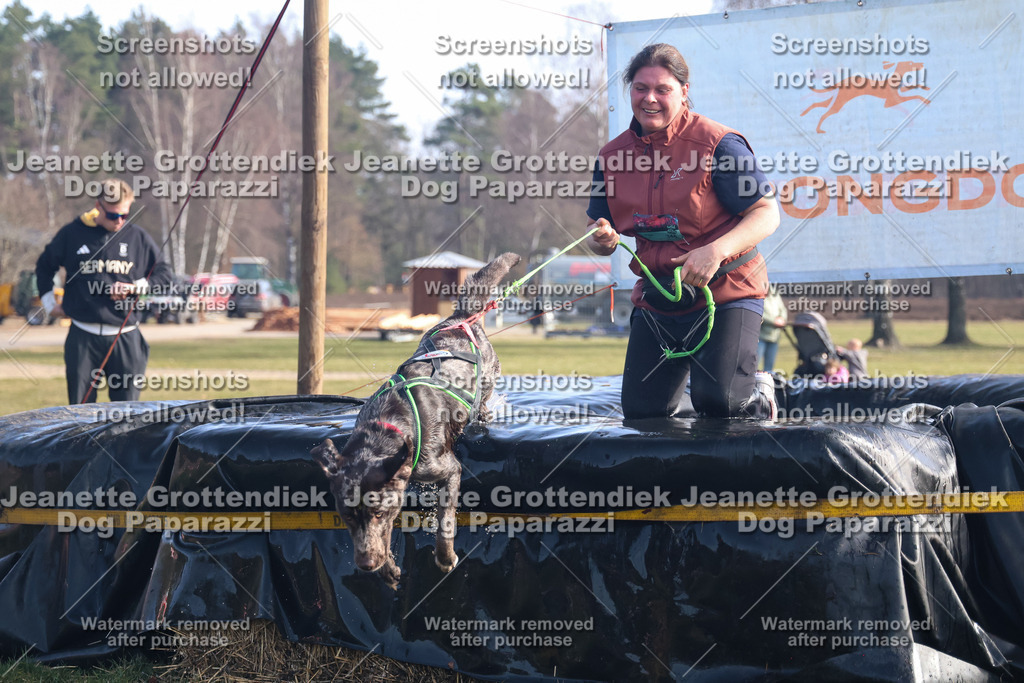 Dog Paparazzi - Strongdog North Mrz26-1064 | Dog Paparazzi Jeanette Grottendiek Fotografie & Videografie - Realisiert mit Pictrs.com