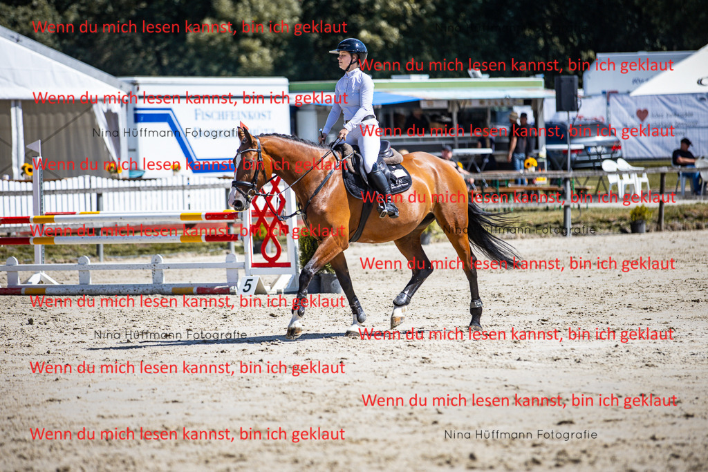 BK1A5322 | Turnierbilder Turnierfotos Nina Hüffmann Turnierfotografie Pferdefotografie Tierzeichnung Haustierzeichnung Pferdezeichnung Hundezeichnung Videograf  - Realisiert mit Pictrs.com