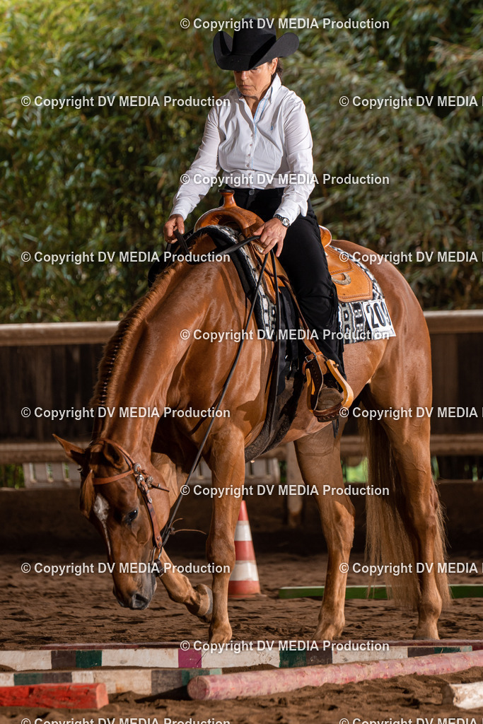 Erbach Tag 3-325 | dv-media-shop - Realisiert mit Pictrs.com