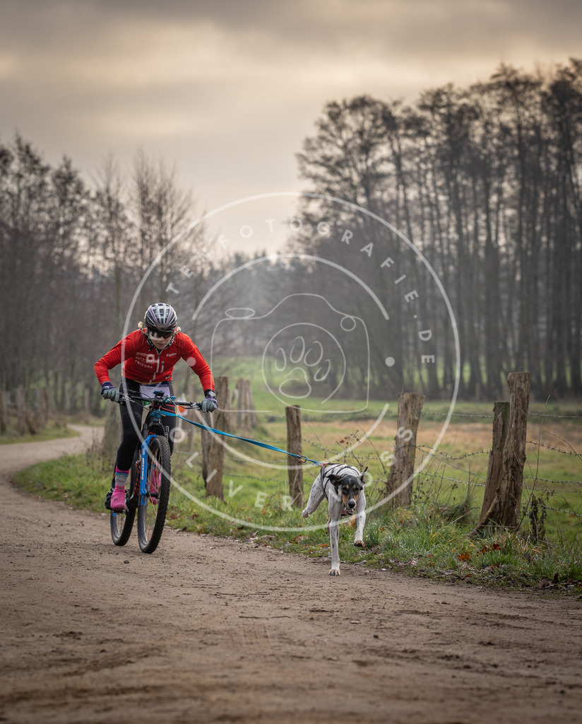 Pfotenfotografie_DV3A1471 | Hundefotografie, Tierfotograf, Pfotenfotografie, Fotoshooting Hund, Hunde Portrait, Hundesport, Hundeportraits, Heideshooting, Hunde, Sportfotograf, Hundefotograf, Turnierhundsport, THS,  - Realisiert mit Pictrs.com