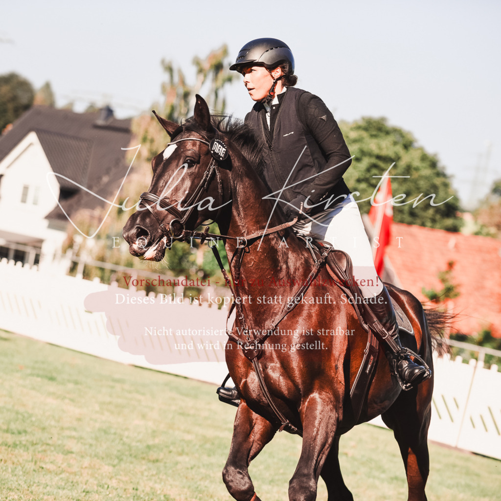 DSC_2256 | Pferde- und Turnierfotografie in Westsachsen. Pferdeportraits, Auftragszeichnungen und intuitive Kunst.
