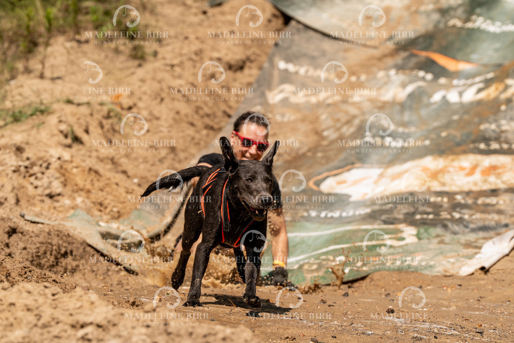 madeleinebirr.fotografie.2026.CC-hoope.samstag.14-24-44.82 | hundefotografie-birr