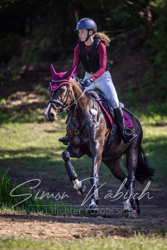 20260523-_3LI6997 | Tierfotografie Pferde, Hunde, Katzen, Haustiere.
Turnierfotografie Reitturniere, Reiten, Springreiten, Dressur in Hanau, dem Main-Kinzig-Kreis und dem Rhein-Main- Gebiet um Frankfurt