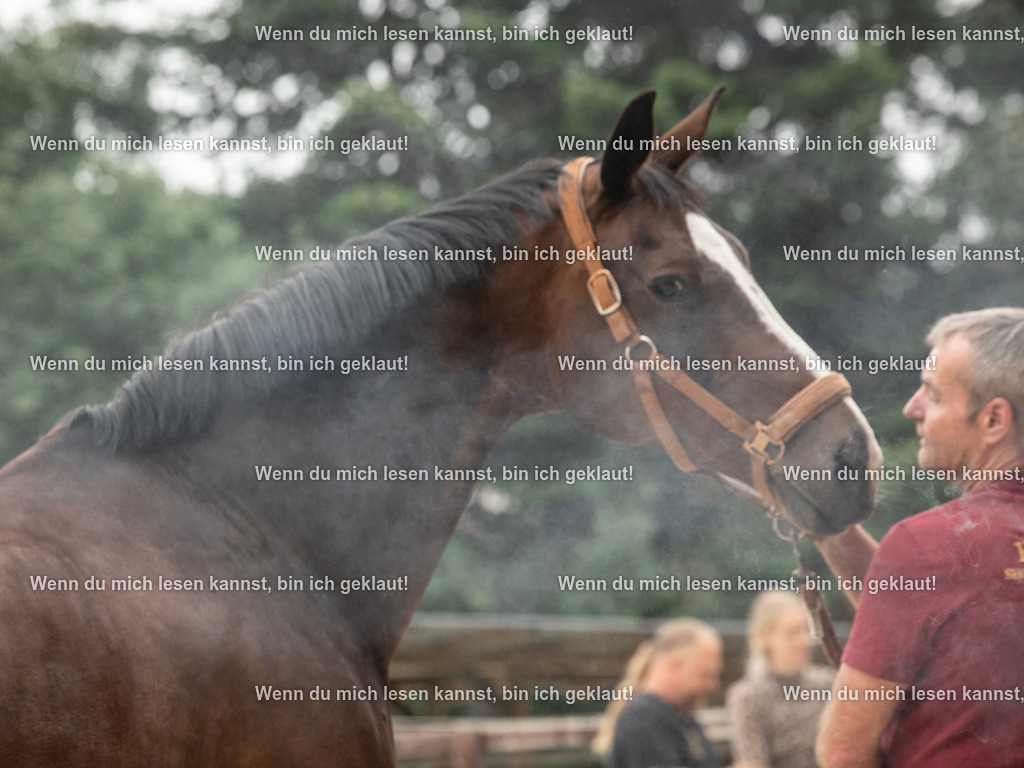 598A7562 | photographylinaismer - Realisiert mit Pictrs.com