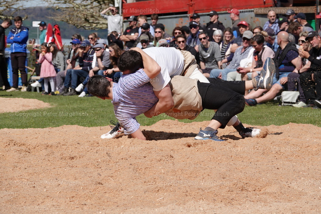 DSC02332 | Schwingen - Realisiert mit Pictrs.com
