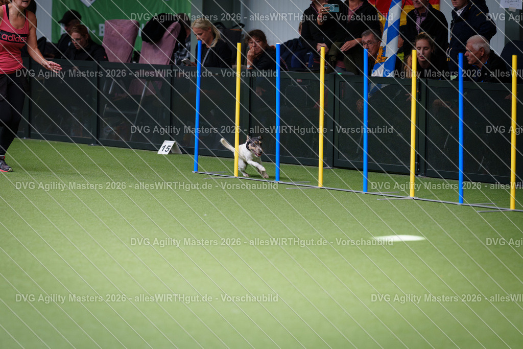 allesWIRTHgut_Tierfotografie-DVG_Agility_Masters_2026-11_10-7R505032 | Professionelle Tierfotografie in Mönchengladbach von Daniel Wirth (allesWIRTHgut). Liebevolle & natürliche Bilder von Hunden & Katzen für unvergessliche Erinnerungen.