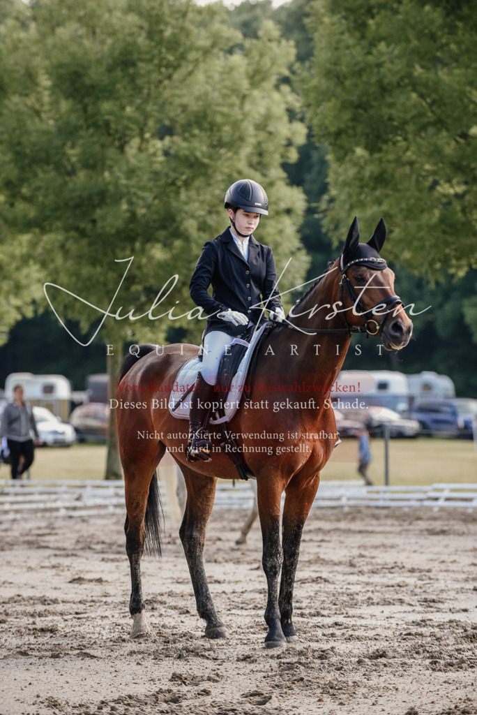 DSC_7946 | Pferde- und Turnierfotografie in Westsachsen. Pferdeportraits, Auftragszeichnungen und intuitive Kunst.