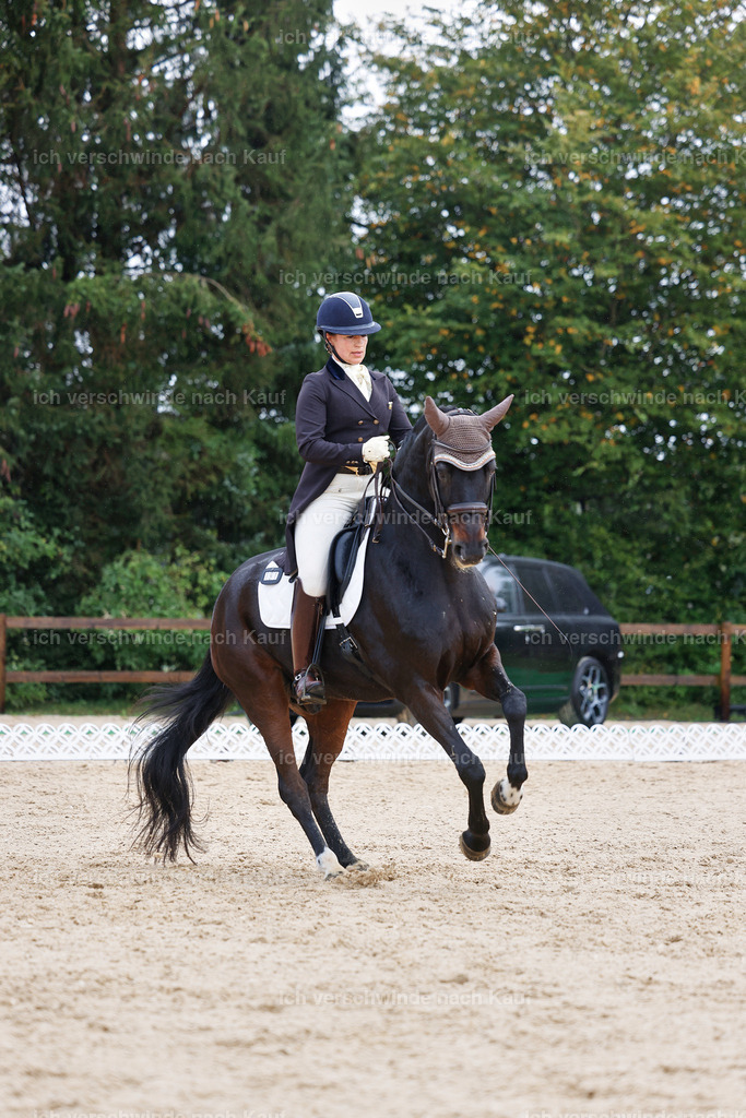 07-191-DRESSUR  S___  -StoibPH-4998 | working equitationturnier fotograf videograf stoibphotography marixx film working equitation deutschland reitsport turnierfotografie eventfotografie equestrian events