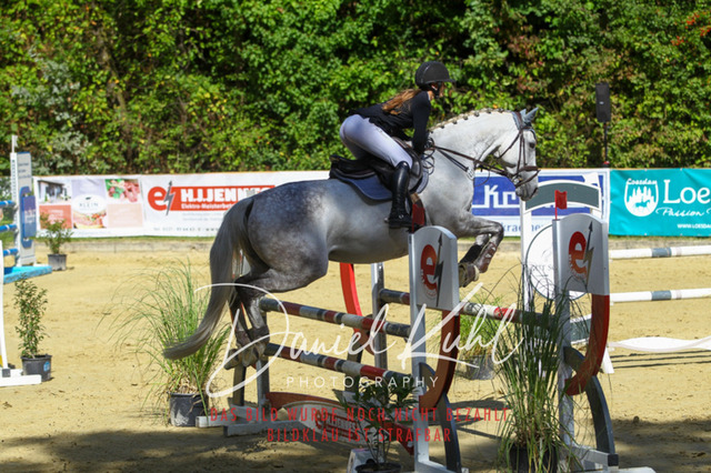 DKP43325 | Turniersportfotografie; Pferdefotografie; Dressurfotografie