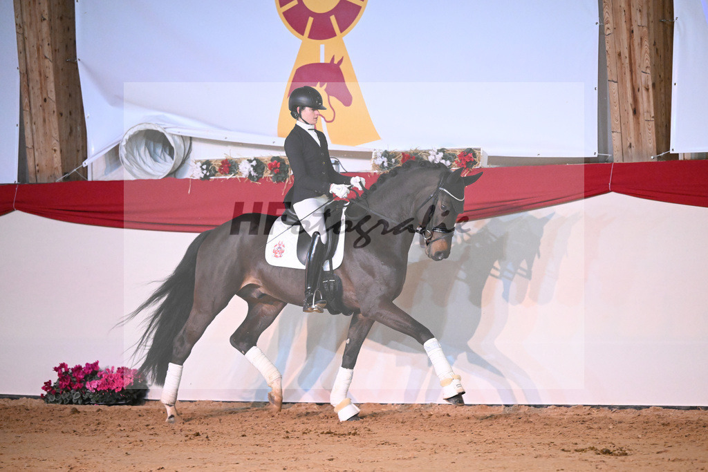 Estupendo_1234236 | hf-fotografie - Realisiert mit Pictrs.com