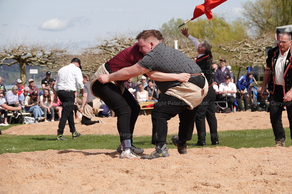 DSC02301 | Schwingen - Realisiert mit Pictrs.com