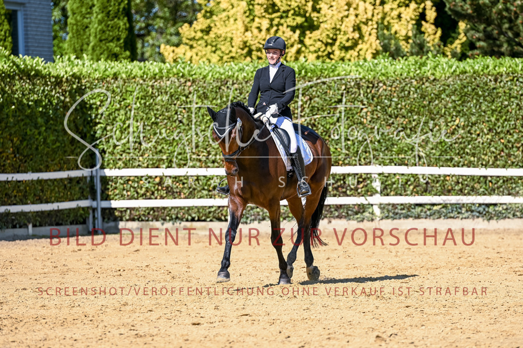 Schugtsche-Aluta25-50.Dressurpferdeprf.L-158 | Schugtsche Fotografie - Realisiert mit Pictrs.com