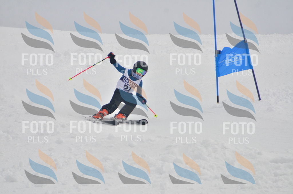 A5160 | holidayphoto