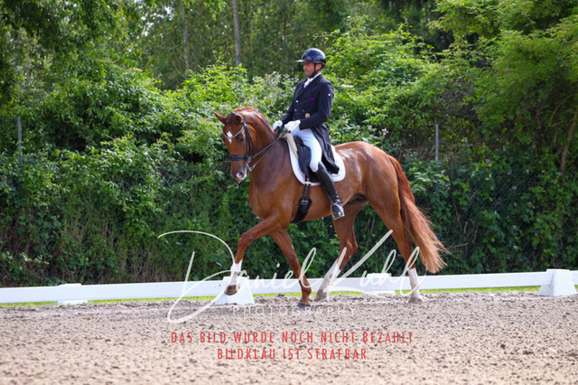 DKP41318 | Deine Turnierfotos vom Reitturnier online kaufen: Dressur, Springen & Siegerehrung. Professionelle Pferdefotografie aus dem Rheinland – als Download & Print.Alternative: Turnierfotograf für den Pferdesport: Finde deine Fotos von Dressur- und Springturnier