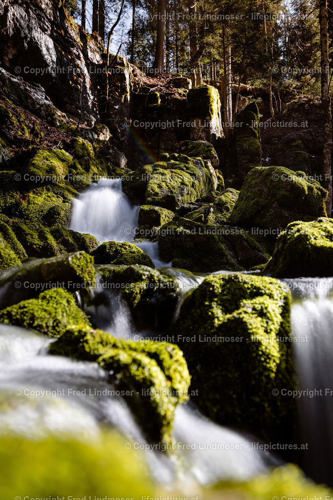Erlaufursprung 23042021-2964 | Fotos und Fotoprodukte - Realisiert mit Pictrs.com