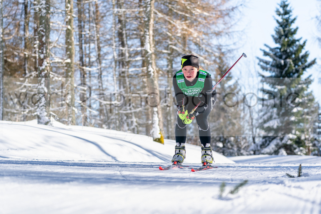 DSC Altenberg | Deutscher Schülercup in Altenberg vom 11. bis zum 13. Februar 2022