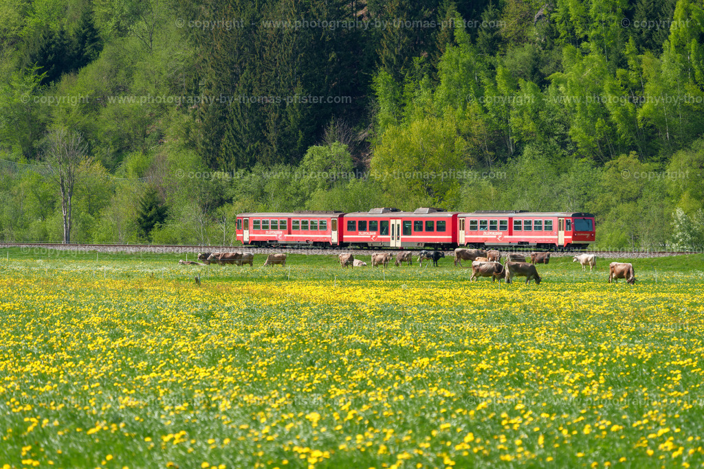 Zillertalbahn im Frühling copyright  Thomas Pfister-8 | PHOTOGRAPHY BY THOMAS PFISTER