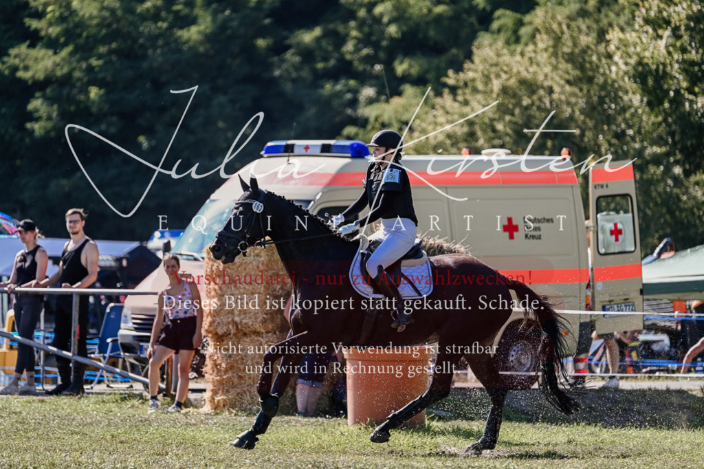 DSC_3529 | Pferde- und Turnierfotografie in Westsachsen. Pferdeportraits, Auftragszeichnungen und intuitive Kunst.