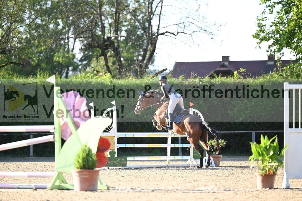 DSC_8905 | equestrian-live-com