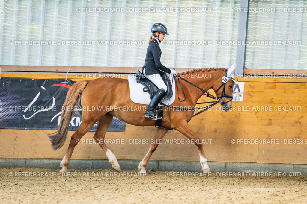 DSC02799 | Pferdegrafie