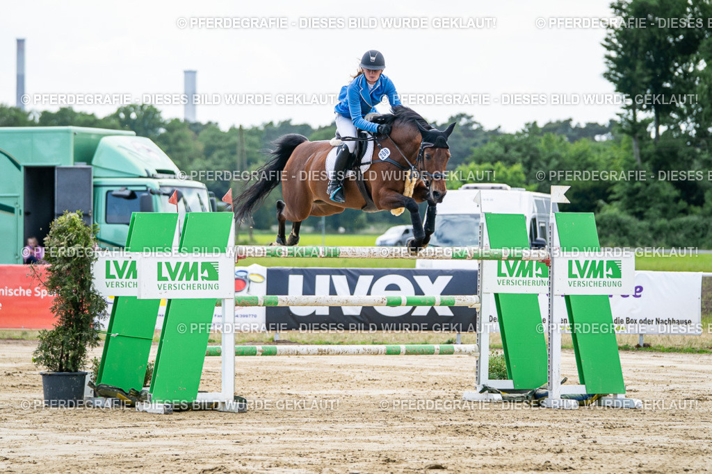 DSC06750 | Pferdegrafie