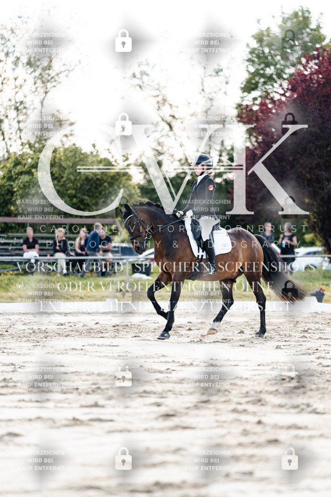 CK909547 | Turnierfotografie Pferdefotografie Trier Rheinland-Pfalz Pferdesport Reitsport Tierfotografie Sportfotografie Pferdevideo Pferdevideografie Equestrianvideography equestrianphotography  - Realisiert mit Pictrs.com
