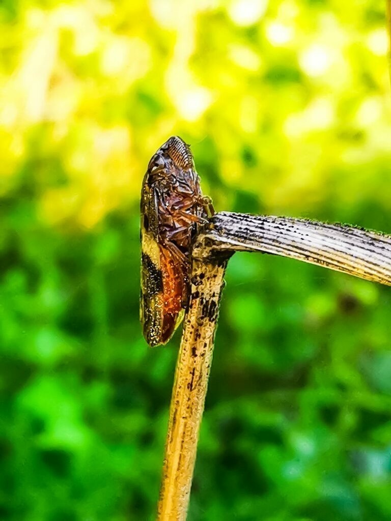 PSX_20220829_214541 | mtkfoto_ - Realisiert mit Pictrs.com