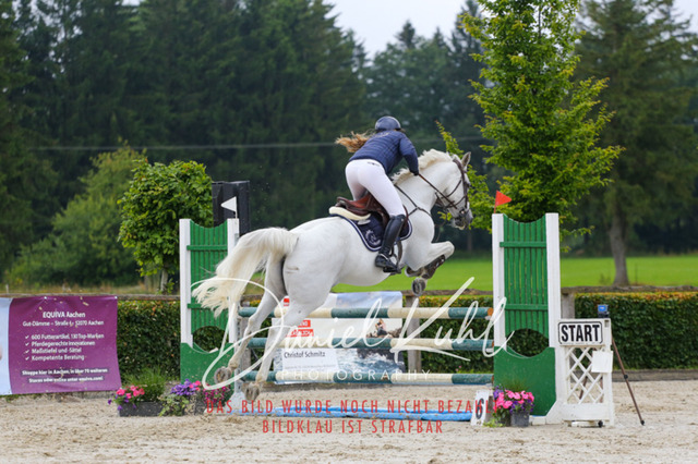 IMG_5185 | Turniersportfotografie; Pferdefotografie; Dressurfotografie