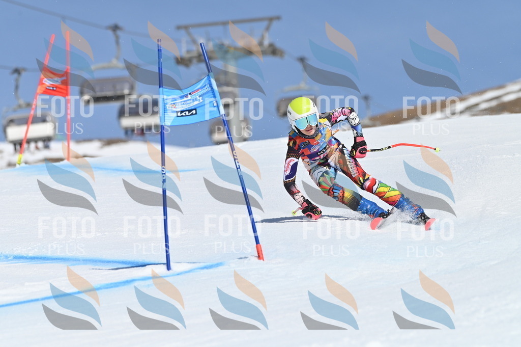 BGV_9528 | holidayphoto