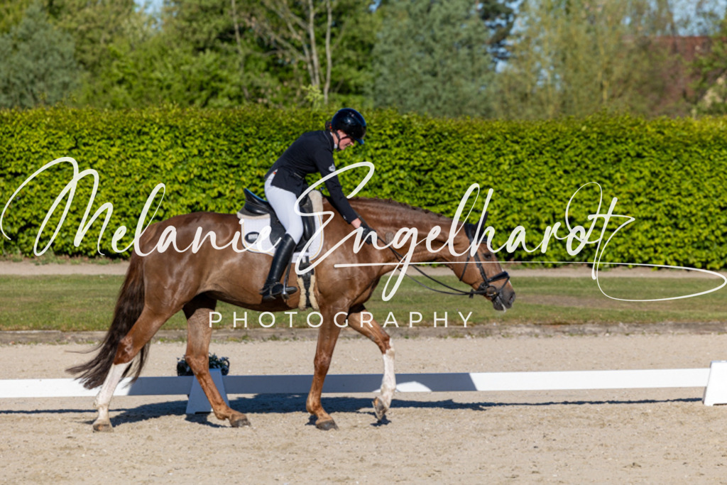 7I8A8606 | melanie-engelhardt-photography - Realisiert mit Pictrs.com