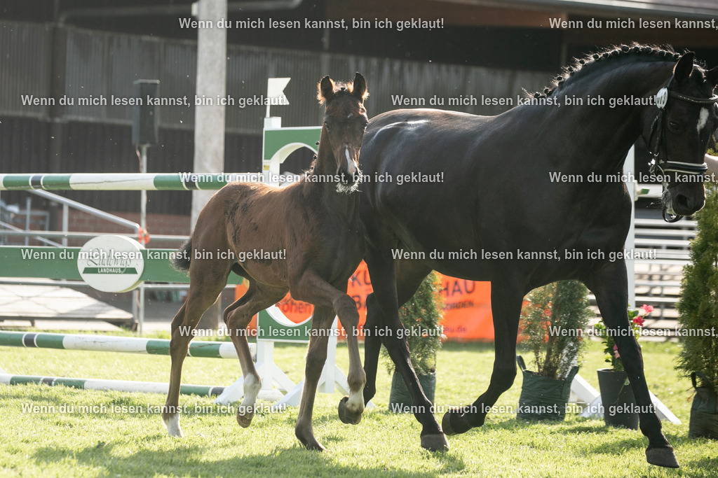 598A7187 | photographylinaismer - Realisiert mit Pictrs.com