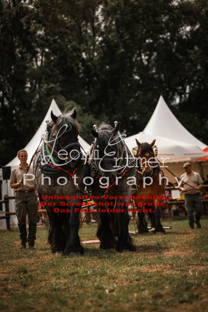 SoShow00237 | Leoni Ertmer Photography - Realisiert mit Pictrs.com
