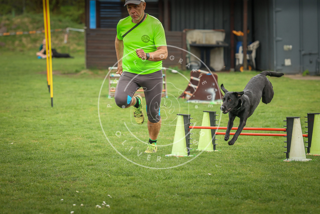 Pfotenfotografie_0L8A0955 | Hundefotografie, Tierfotograf, Pfotenfotografie, Fotoshooting Hund, Hunde Portrait, Hundesport, Hundeportraits, Heideshooting, Hunde, Sportfotograf, Hundefotograf, Turnierhundsport, THS,  - Realisiert mit Pictrs.com