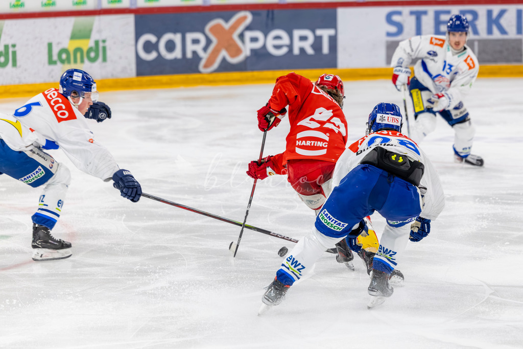 EHCB vs GCK 20260104-6380 | Sportbilder, Sportfotograf, Hochzeits- und Eventfotografin, Flugshows, Portraits und Tiershooting, Aviation, Downhill, Nationalleague, Swissleague, International