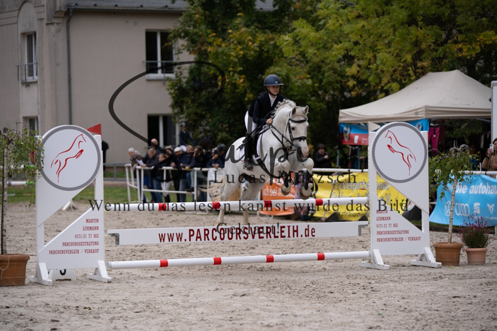 A7V07945 | Pferdefotograf