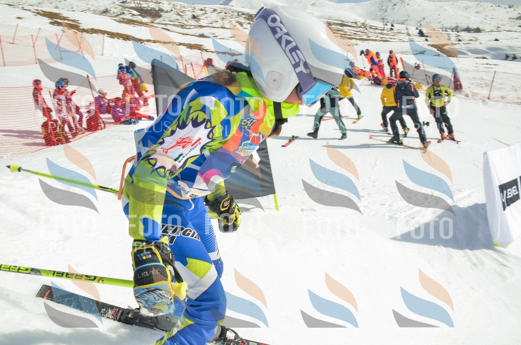 _ELE4652 | holidayphoto